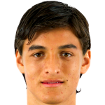 Player picture of فيرناندو ارسي