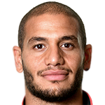 Player picture of Adlène Guedioura