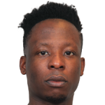 Player picture of Abdel-Kader Salifou