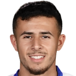 Player picture of Amîr Lemti