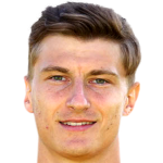 Player picture of Michael Höfler
