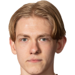 player picture of N. Ahlgren