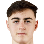 Player picture of Elias Jandrisevits