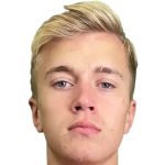 player picture of L. Wilki
