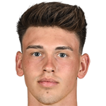 player picture of P. Moser