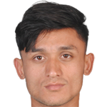 player picture of P. Shahi