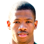 Player picture of Virgil Vries