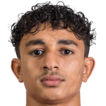 player picture of E. Akoumi