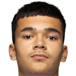 player picture of M. Leuluai