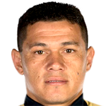 Player picture of Darío Verón