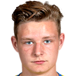 Player picture of Niclas Holgersson