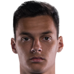 Player picture of دانييل سالوى