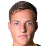 player picture of D. Vajda