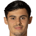 Player picture of سيلمين هودزا