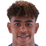 Player picture of لامين يامال