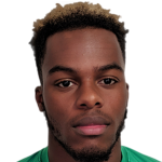 Player picture of Hendy Goy