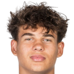 player picture of P. Horvat
