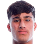 player picture of H. Pomozy