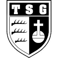 old logo of TSG Backnang