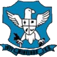 old logo of Mineiros EC