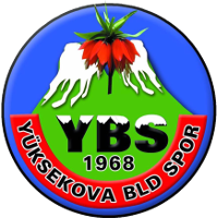 old logo of Yüksekovaspor