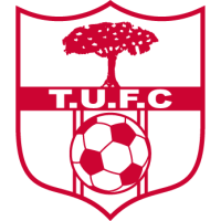 old logo of Tallinding United FC